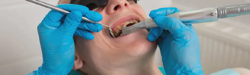 title.webp